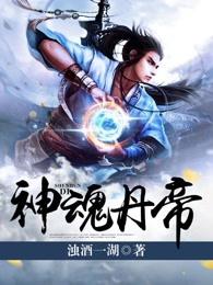 神魂丹帝免费阅读无弹窗