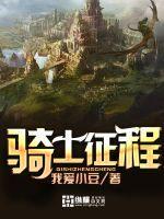 骑士征程顶点