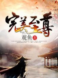 完美至尊全文免费完结阅读