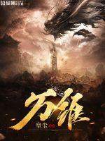 万维猫动画股票