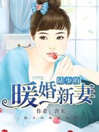 陆少的暖婚新妻TXT