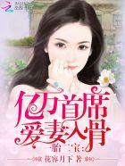一胎两宝亿万首席爱妻