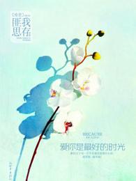 爱你是最好的时光书评
