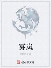 雾岚地图区域的角色