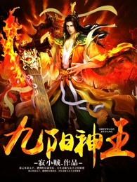 九阳神王 寂小贼