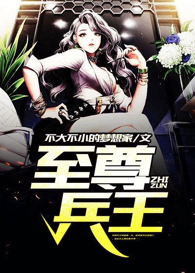 女神总裁的至尊兵王