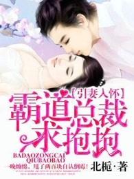 霸道总裁求抱抱原著