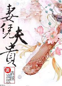 妻凭夫贵txt免费阅读