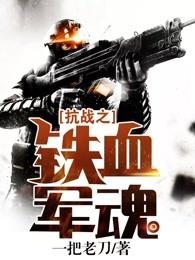 抗战之铁血军魂免费阅读全文