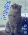 宠物天王txt笔趣阁