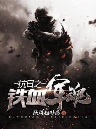 抗日之铁血军魂陆山完整篇