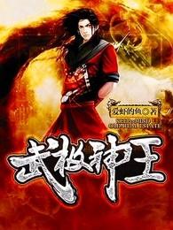 武极神王夕岚和谁在一起了