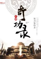 江湖奇功录林夕麟