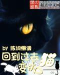 回到过去变成猫主角一直都是猫吗