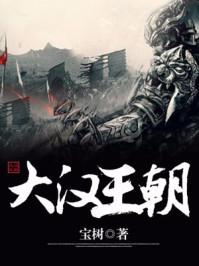 电视剧大汉王朝