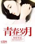 青春岁月歌词