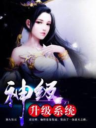 神级升级系统TXT