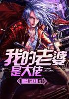我的老婆是大佬4