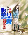 腹黑总裁要抱抱猫千草txt
