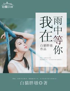 我在雨中等你普通话版