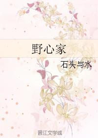 野心家石头与水TXT