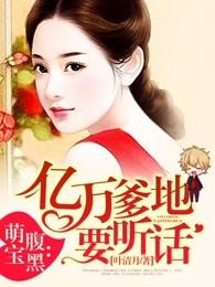 腹黑萌宝亿万爹地要听话27