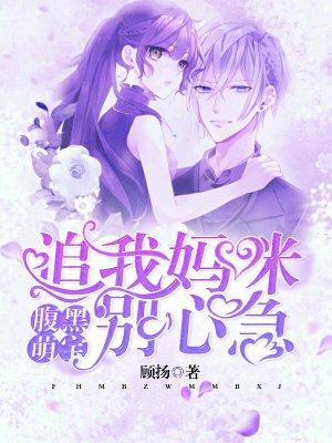 腹黑追妻