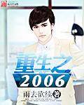 重生之2006杨高刘亦菲封面