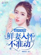 盛世宠婚免费阅读版