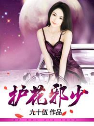 护花邪少杨光免费阅读
