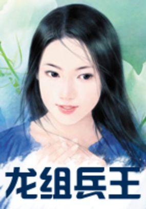 龙组兵王txt