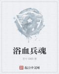 浴血兵魂类似