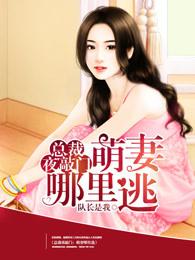 总裁夜敲门萌妻哪里逃原版