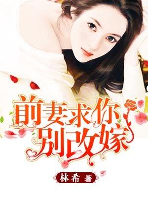 前妻求你别改嫁婉转的蓝笔趣阁