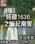 穿越1630之崛起南美在哪里看