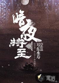 暗夜将至免费完整版高清观看