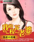 我的校花老婆大全