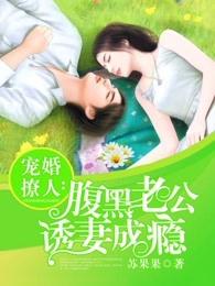 宠婚撩人腹黑老公诱妻成瘾未删减