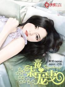 七夜宠妻赢擎苍TXT完结版
