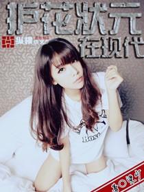护花状元在现代全集txt