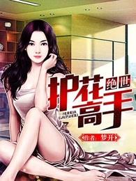 绝世护花高手女主