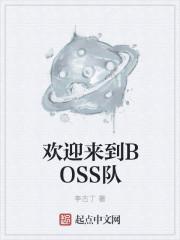 欢迎来到BOSS队 txt全文免费阅读
