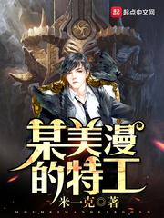 某美漫的特工 全本