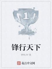 锋行天下演唱会