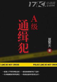 a级通缉犯什么概念