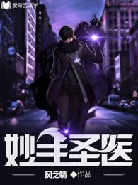 妙医圣手简介