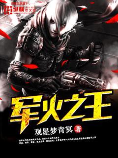 军火之王王十一免费播放