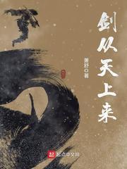 剑从天上来TXT完本