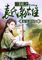 三国之袁氏争霸