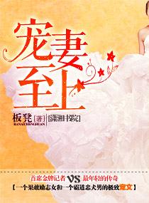 宠妻至上作者鱼可可